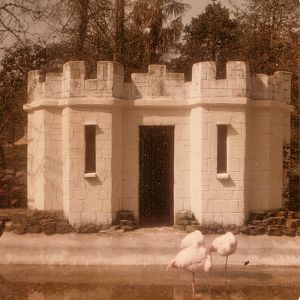 Flamingo Castle, Hotham Park Zoo, Bognor Regis