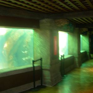 aquarium at entrace of manta rollercoaster