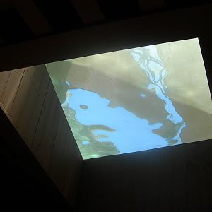 window to look up at touch tank in aqaurium