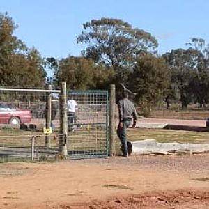 Crocodile and alligator house