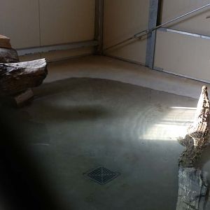 Crocodile and alligator house