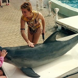 Bottlenose Dolphin - Atlantis Marine Park, Western Australia
