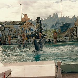 Dolphin Show - Atlantis Marine Park, Western Australia