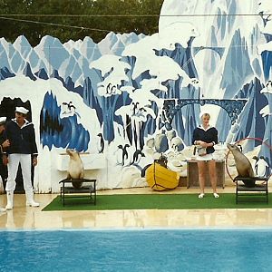 Sealion Show - Atlantis Marine Park, Western Australia