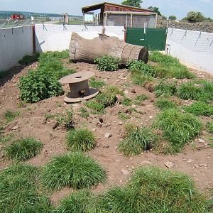 Eden Ostrich World (Now Closed)