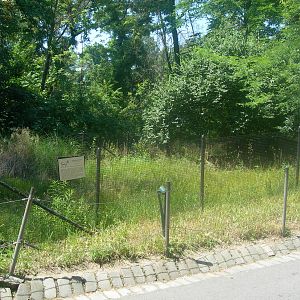 Reeves Muntjac Exhibit