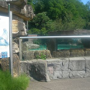 Sea lion Exhibit