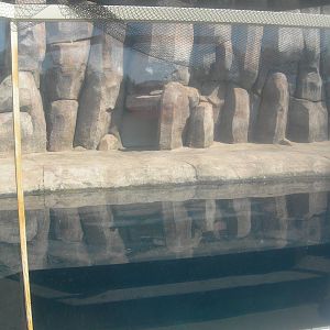 top part of the shark exhibit which was intended for a walrus