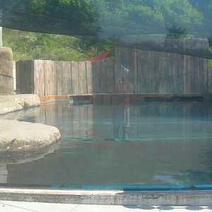 top part of the shark exhibit which was intended for a walrus