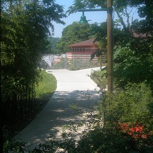 pathway to new animal hospital