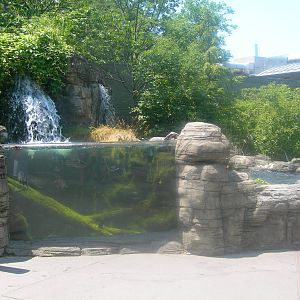 outdoor stream exhibit in front of entrace to PPG Aquarium