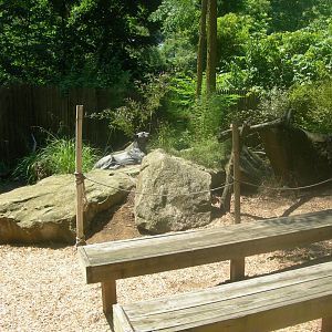 Safari Amphitheater in zoo