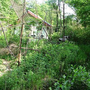 Capuchin Enclosure at Apenheul, 30/05/12