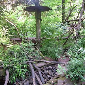 Coati Enclosure at Apenheul, 30/05/12