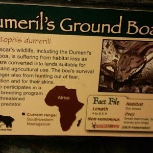 June 2012-Boa sign in Jungle Trails