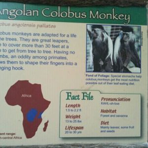 June 2012-Colobus sign in Jungle Trails