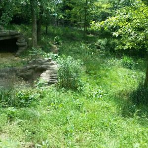 June 2012-Left side of the Mexican wolf exhibit (find the wolves?)