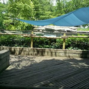 June 2012-California sea lion viewing (1 of 3 areas)