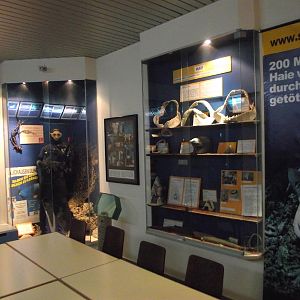 Haus des Meeres educational display