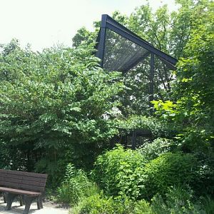 June 2012-Lorikeet Landing from afar
