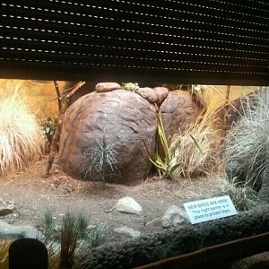 June 2012-Grasslands in Wings of the World