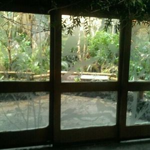 June 2012-Entrance to Australasia in Wings of the World