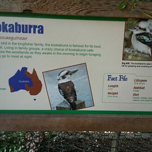 June 2012-Laughing Kookaburra sign at Wings of the World