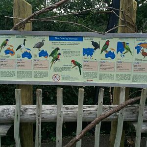 June 2012-New labels in Lorikeet Landing