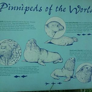 June 2012-Sign at the Sea Lion exhibit