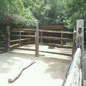 June 2012-Llama/Miniature donkey exhibit