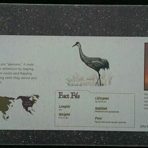 June 2012-Crane sign at Wetland Trails