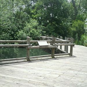 June 2012-Wetland Trails Viewing