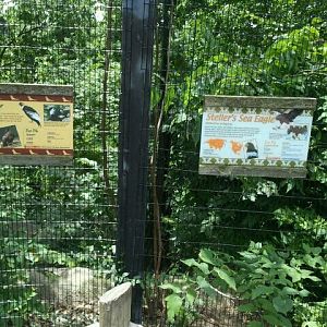 June 2012-Raptor signs at Eagle Eyrie