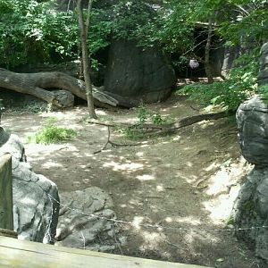 June 2012-Emu exhibit (find the emu?)