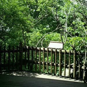 June 2012-Andean Condor viewing deck