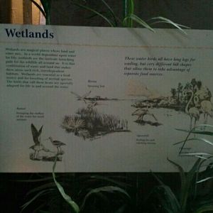June 2012-Wetlands Exhibit Sign in Wings of the World