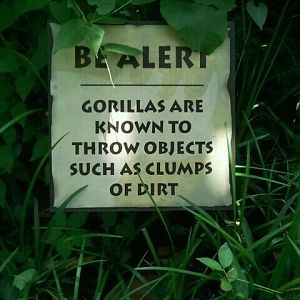 June 2012-Be Alert Sign at Gorilla World
