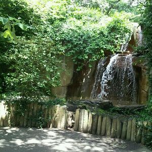 June 2012-Waterfall at Gorilla World