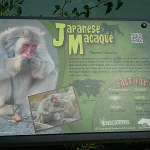 June 2012-New Macaque sign at Monkey Island