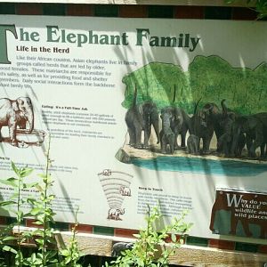 June 2012-Sign at Elephant Reserve