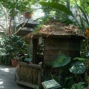 June 2012-Discovery Forest Macaw/Snake/Sloth exhibits