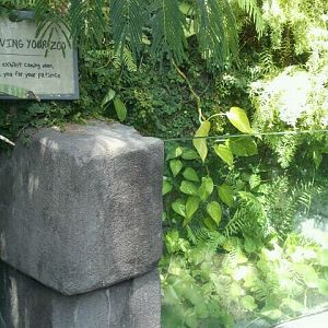 June 2012-Empty exhibit in Discovery Forest