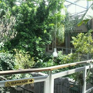 June 2012-View of Discovery Forest