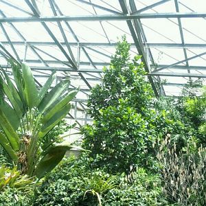 June 2012-View of Discovery Forest