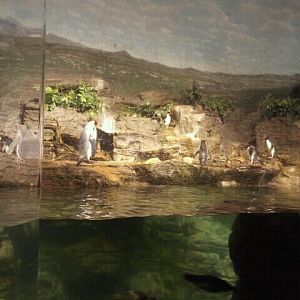 Jun. 2012-Sub-antarctic Coast