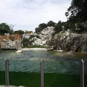 Humbolts Penguin Enclosure