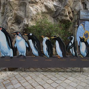 Penguin Parade