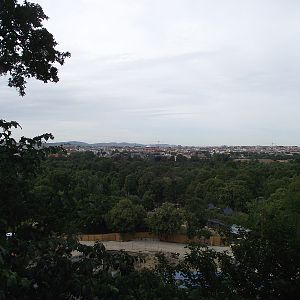 View from Treetop Walk