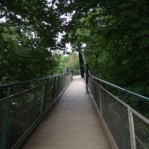 Treetop Walk