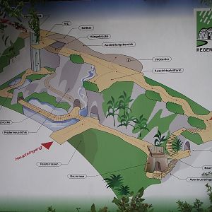 Rainforest House Plan